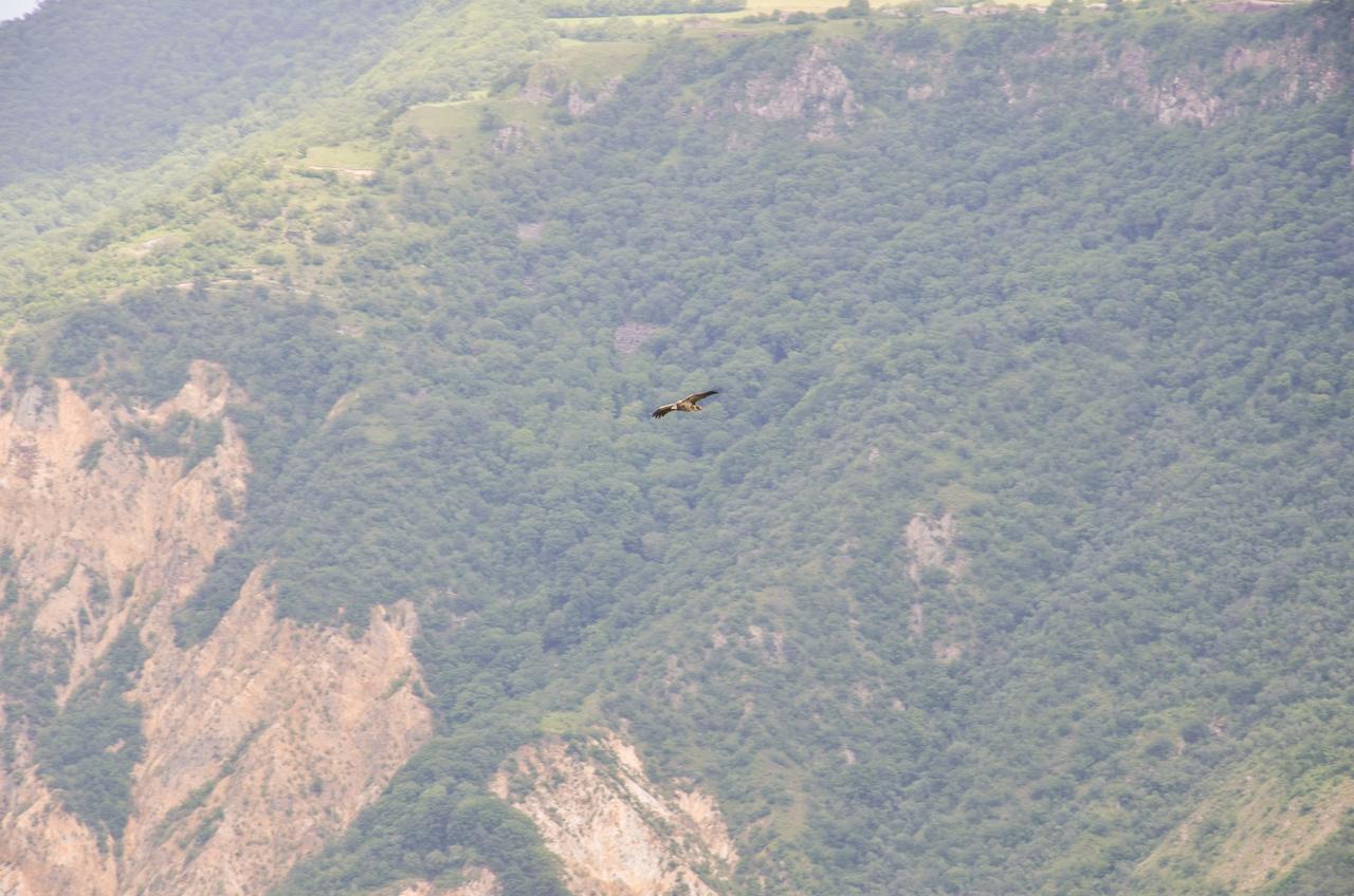 Hotel Dzorak Halidzor Exteriér fotografie